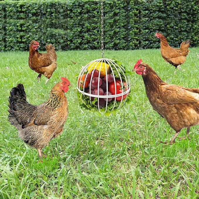 Hanging Chicken Feeder - 7.1 Inch Large Iron Chicken Veggie Treat Ball - Sturdy Chicken Treat Holder with 15.7 Inch Hanging Chain - White
