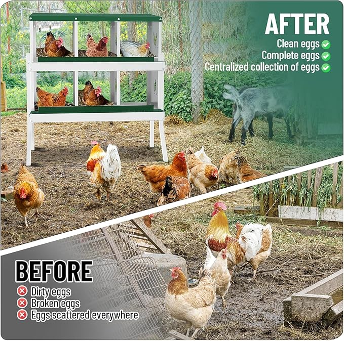 TrailBlaze 6 Compartment Chicken Nesting Box with Metal Legs, Chicken Egg Laying Boxes with Rollout Egg Collection, Large Vented Holes Chicken Coop for Chickens, Hens (Green)