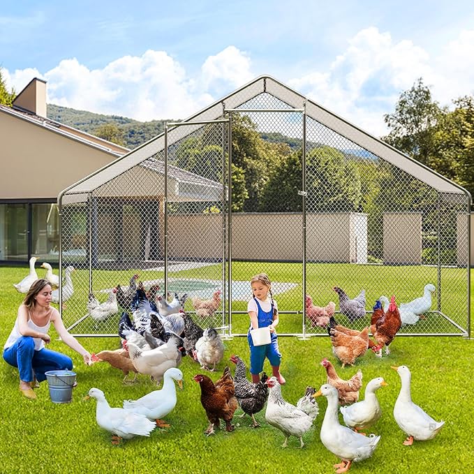 Large Walk-in Metal Chicken Coop with Run – 9.8L x 6.5W x 6.5H Outdoor Chicken Runs with Galvanized Steel Frame, Waterproof & UV-Resistant Cover, Spire Roof for Yard, Farm, Chickens, Ducks & Rabbits