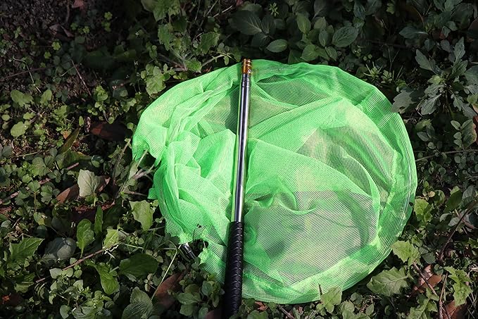 RESTCLOUD Bait Net and Fishing Landing Net with Telescoping Pole Handle Extends to 59 inches