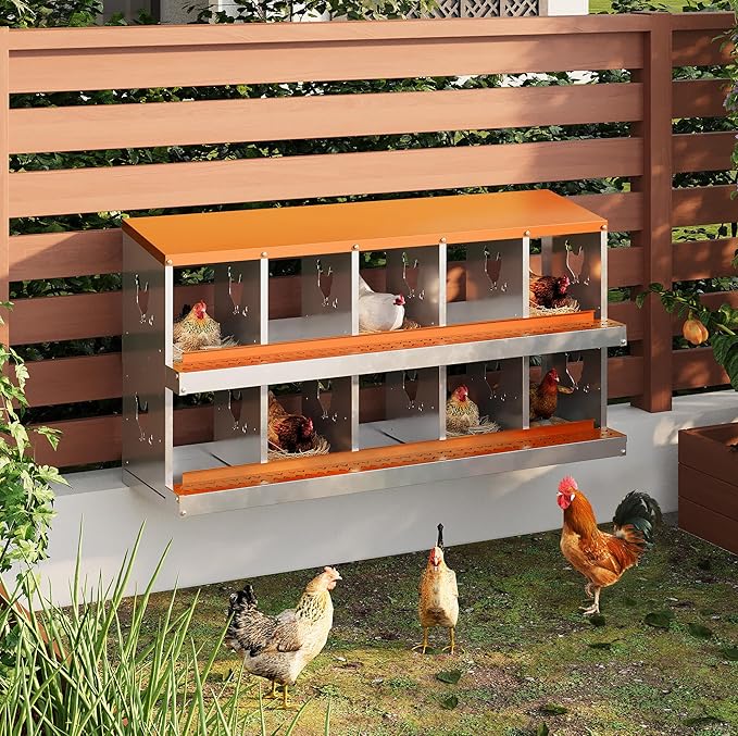 Chicken Nesting Box,10 Compartments Galvanized Steel Metal Chicken Laying Box with Roll Out Egg Collection,Wall Mount Chicken Nesting Boxes,Easy Egg Collection, Hen Roosting Boxes