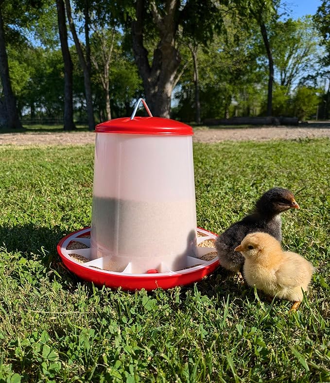Large Chicken Feeder 5-Pound Capacity for All Poultry | Durable Feeding Container with Carrying Handle for Chickens, Ducks, Turkeys, Quail, Baby Chicks, Turkeys and More