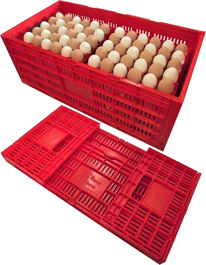 RITE FARM PRODUCTS EGG TRAY CARTON TRANSPORT CRATE CHICKEN SHIPPING POULTRY CASE