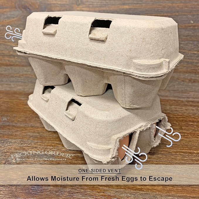 6-Egg Paper Egg Cartons - 24 Pack
