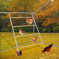 Chicken Roosting Bar, Large Chicken Perch for Coop,Easy to Installation&Clean,Roosting Perch,Roosting Bars for Chickens in Coop,Poultry Toys for Backyard,Poultry coop Accessories(56' L X 39' W)