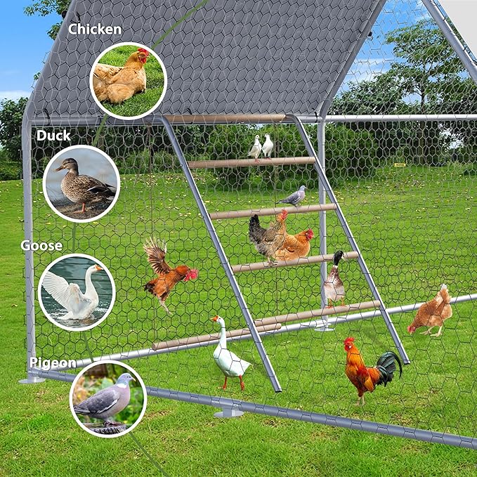 Chicken Perch for Coop with Swing & Roosting Bars, Ladder - Perfect for Backyard Poultry - Easy Installation & Cleaning (55'' L x 41'' W)