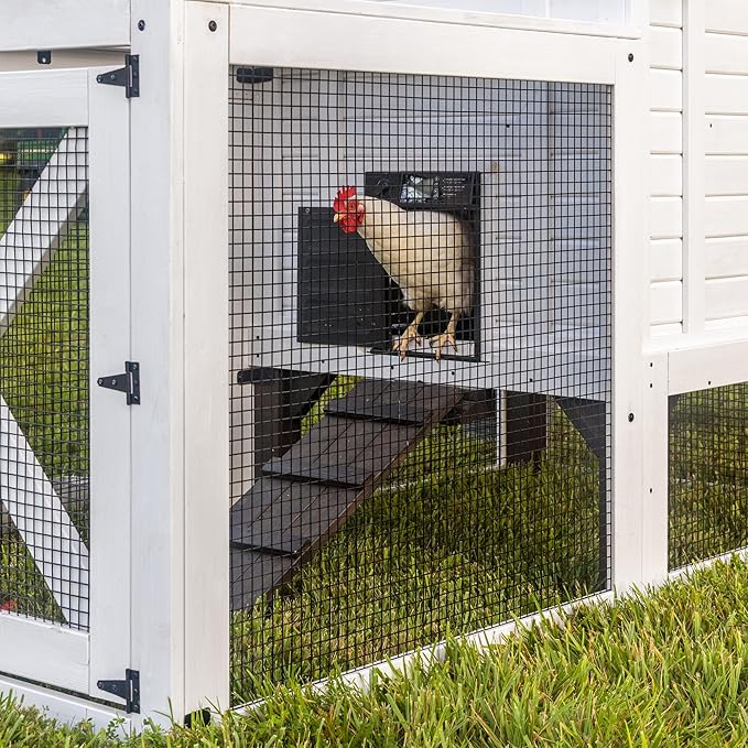 Backyard Discovery Sweetwater Cedar Wooden Chicken Coop for 4-6 Chickens with Run, Nesting Box, Automatic Door, Roosting Bars, Galvanized Steel Roof, Wire Mesh Protection, Ramp, Rooster and Hen House