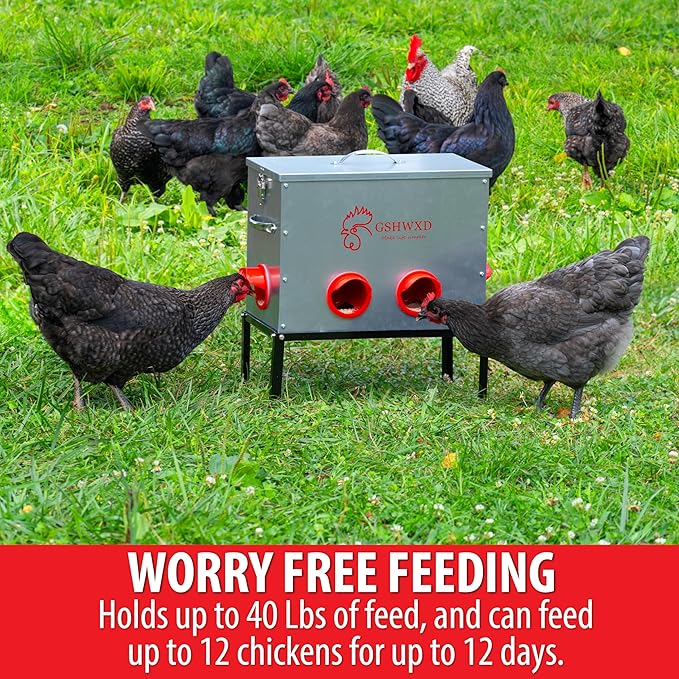 Automatic Chicken Feeder - 40 lb Capacity 6 Port Large Metal Chicken Feeders - with Locking Lid and Legs
