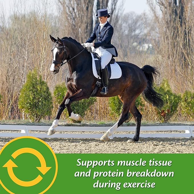 Farnam Vita Plus Balanced Multi-Vitamin & Mineral horse Supplement, Provides balanced nutrition to support overall health and performance, 7.5 pounds, 60 day supply