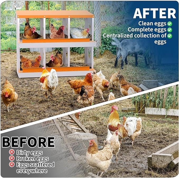 6 Compartment Metal Chicken Nesting Box, Automatic Roll-Out Egg Collection, Waterproof Galvanized Steel Laying Box, for Hens Ducks Rabbits, Orange
