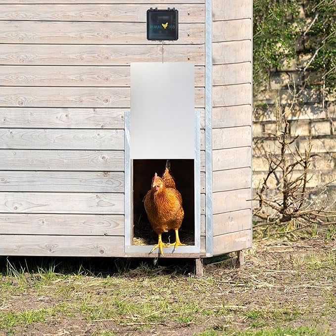 Rural365 Automatic Chicken Coop Door - Electronic Automated Opener Panel for Chickens Sliding Door with Adjustable Timer