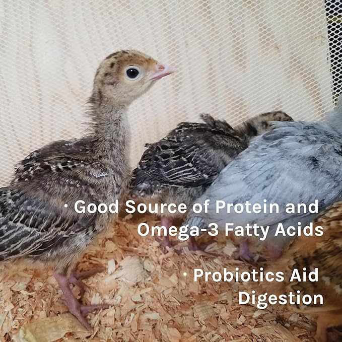 New Country Organics | Turkey Starter Feed 40 lbs I Turkey Feed for Poults and Chicks | Soy-Free and Corn-Free | 26% Protein | Certified Organic and Non-GMO