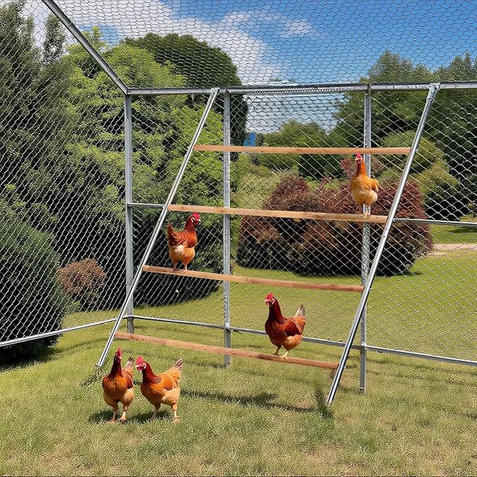 VINGLI Chicken Perch with Wood Stick, Easy to Assemble Roosting Bars for Coop, Durable Roost Perfect for Backyard Poultry Coop & Farm Use (56'' L x 41'' W)