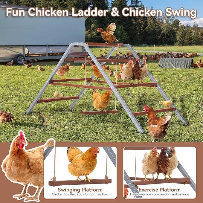PETSFIT Chicken Roosting Bar-Solid Wood and Rustproof Iron Design, Chicken Perch with Swing for Healthy Poultry-Ideal for Backyard Coops, Farms, Easy to Assemble and Clean
