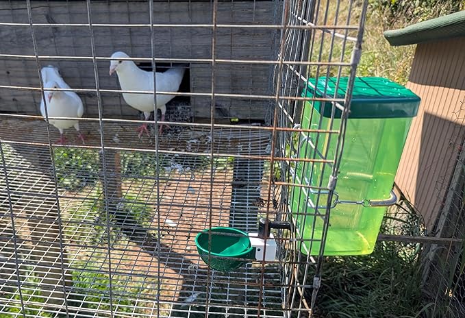 Hen's Choice™ 1L (32 oz) Drinker W/Cup, Nipple, & Wire Bracket for Chicks & Small Animals, Chicken Waterer, Green