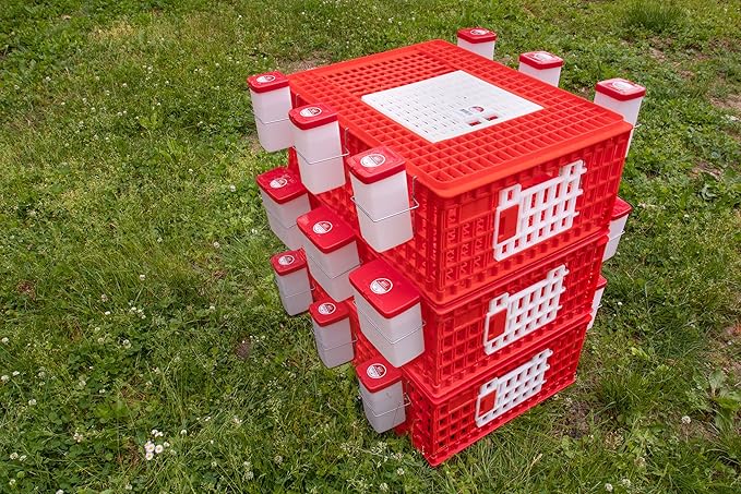 RentACoop Poultry Carrier Crate (Pack of 1) 29" L x 22" W x 12" H for Chickens