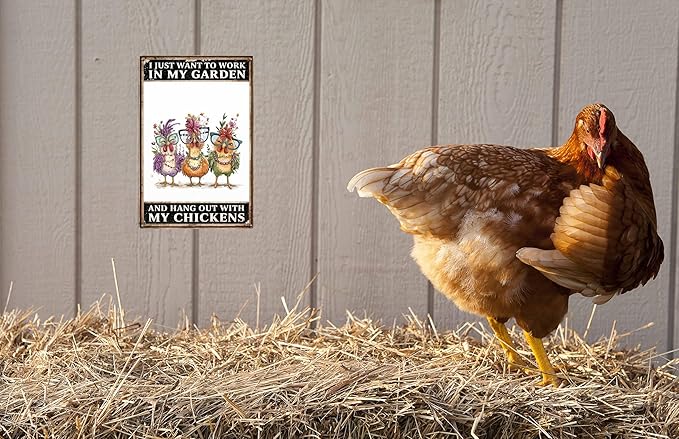 Funny Chicken Coop Signs I Just Want To Work In My Garden And Hang Out With My Chickens Tin Signs for Home Farmhouse Garden Decor 8x12 in