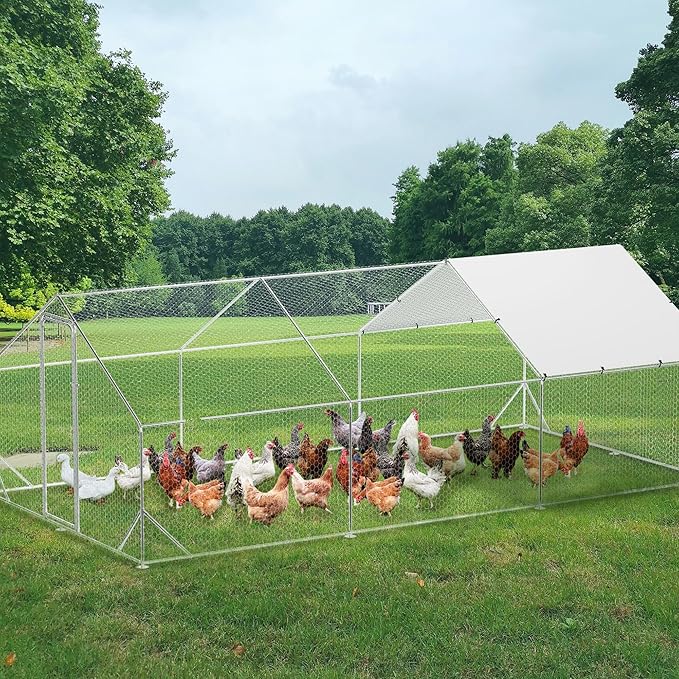 Large Metal Chicken Coop, Walk-In Poultry Cage, Chicken Run Pen House With Reinforcement & Waterproof & Anti-Ultraviolet Cover Chicken Coop Run With Double Lockable Doors for Outdoor 9.8 x 19.7X 6.6ft