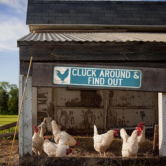 Cluck Around & Find Out Chicken Coop Sign - Made In USA - Chicken Décor Farmhouse Wall Décor Rustic Chicken Décor Kitchen Decor 104180017004