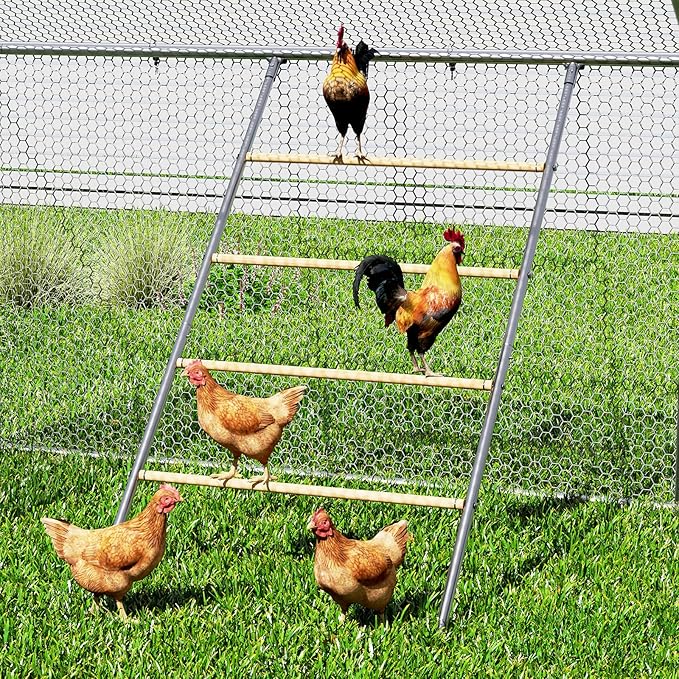 Amopatio Square Chicken Perch for Coops, 42''x 54.5'' Chicken Roosting Ladder for Hens,Chick Coop Accessories for Backyard Poultry Habitat Supplies