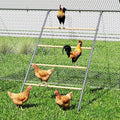 Amopatio Square Chicken Perch for Coops, 42''x 54.5'' Chicken Roosting Ladder for Hens,Chick Coop Accessories for Backyard Poultry Habitat Supplies