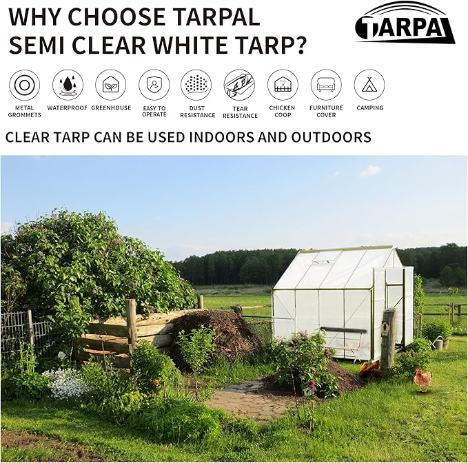TARPAL 6'x8'（3pack） Semi Clear White Tarp Waterproof Green House Cover with Grommets 7.5mil Clear Poly tarps for Gardening,Farm, Garden,Chicken Coops，Outdoor