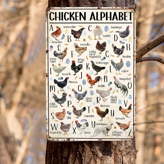 JOCASA Chicken Alphabet Vintage Metal Poster Farm Sign Decor-Retro Aluminum Metal Tin Sign for Home Wall Decor, Kitchen Farmhouse Country Farm Barn, Chicken Coop Outdoor Wall Signs Gift,12''x 8''