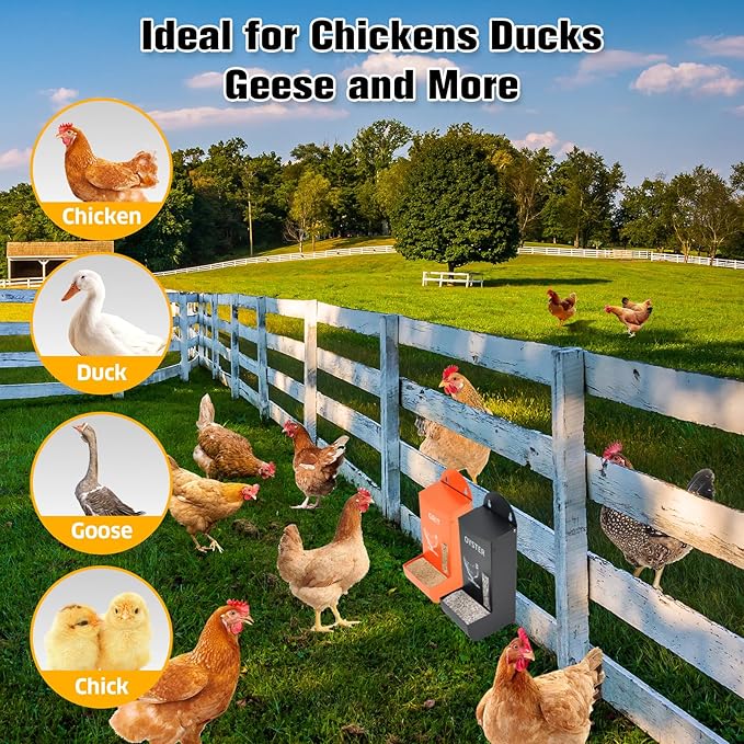 2Pack Automatic Chicken Grit & Oyster Shell Feeder with Rain Cover, Gravity-Fed Metal Poultry Feeder Trough for Coop, Outdoor Use