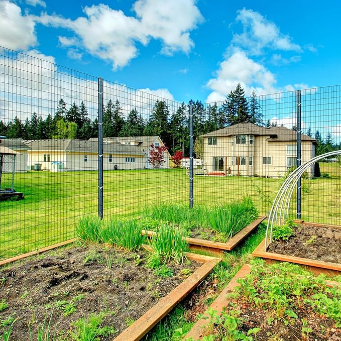 4ft x 50ft Black Vinyl Coated Welded Wire Fence - 14 GA Heavy Duty Garden Fencing, 2"x3" Mesh Rustproof Deer Barrier, Chicken Coop Poultry Run, Dog Fence & Garden Protector for Vegetables