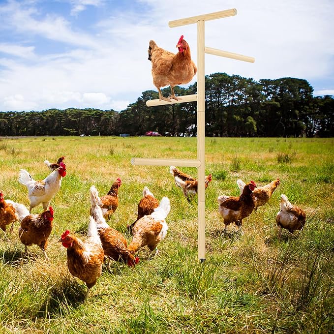 2 Pcs Extra Large Chicken Perch Toy for Coop 57" Wooden Chick Perch Stand with Strong Roosting Bar Chicken Enrichment Toys for Coop Brooder Large Bird, Easy to Assemble, Comes with Installation Video