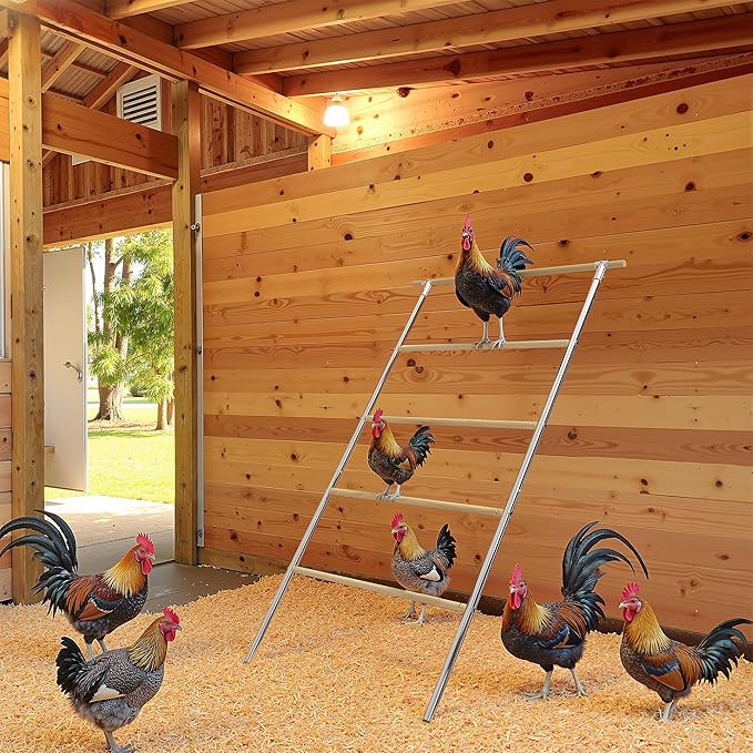 Chicken Roosting Perch - Heavy Duty 4-Tier Metal & Wood Chicken Roost Bars, Large Cock Coop Accessory - Easy Install (55" L x 40" W) for Backyard Poultry, Hens & Farm Pens