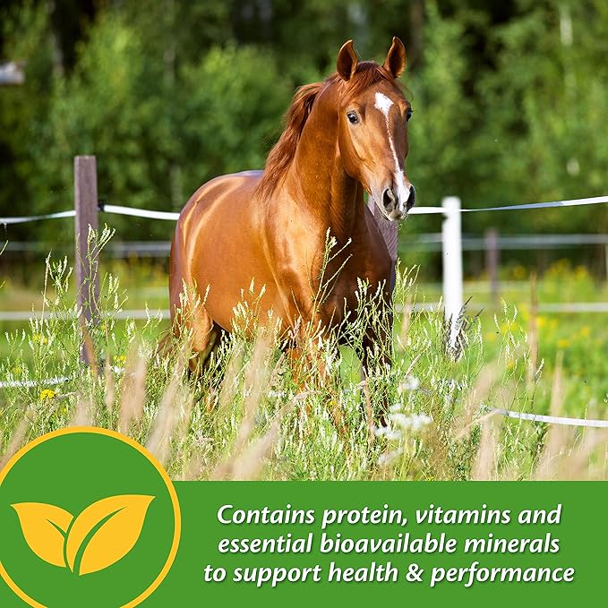 Farnam Vita Plus Balanced Multi-Vitamin & Mineral horse Supplement, Provides balanced nutrition to support overall health and performance, 7.5 pounds, 60 day supply