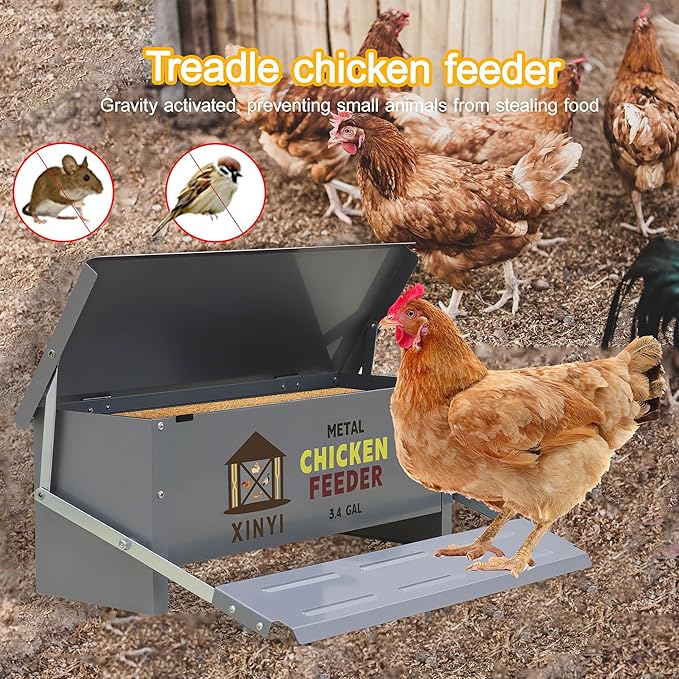 XINYI Chicken Treadle Feeder,25 Lbs Metal Treadle Feeder, No Waste & Rodent Proof Chicken Feeder with Weatherproof Lid, Suitable for Bantams, Poultry, Pheasants - 3.4Gallon Capacity