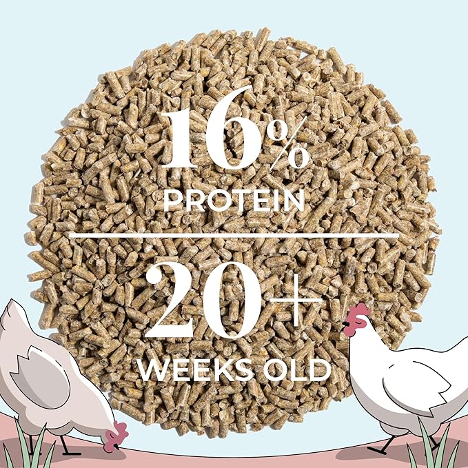 Mile Four Organic Layer Chicken Feed Kit | Feeds 10 Layer (20+ Weeks) Chickens for 4 Weeks | Feed (69 lb), Grit (12 lb), Oyster Shell (16 lb) | Pellet