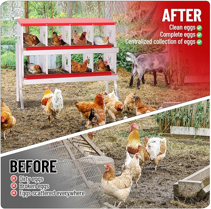 8-Compartment Metal Chicken Nesting Box - with Perch, Secure Lid & Metal Legs, Wall-Mount or Free-Standing Nesting Boxes for Hens