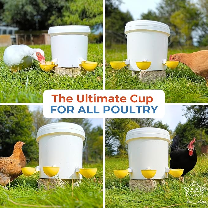 Lil'Clucker - Large Automatic Chicken Waterer Cups Suitable for Ducks, Geese, Turkeys, and Bunny Rabbit - Water Feeder Kit - Poultry Waterer (Yellow, 8 Pack)