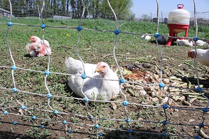 Starkline 48" x 164' Electric Poultry Netting with Double Spiked Fiberglass Posts | Electric Fence for Chickens in Backyards, Homesteads, Farms and Ranches