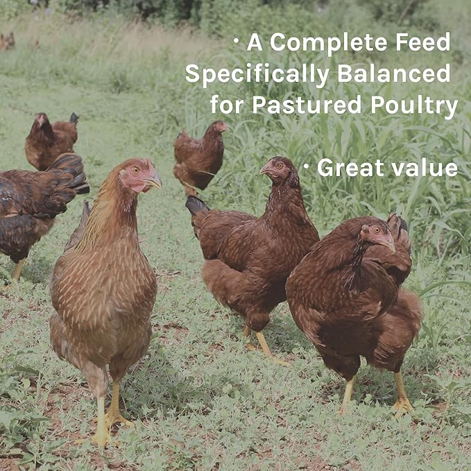 New Country Organics | Pastured Perfect Starter Feed for Baby Chicks | Corn-Free and Soy-Free | 21% Protein | Certified Organic and Non-GMO | 40 lbs