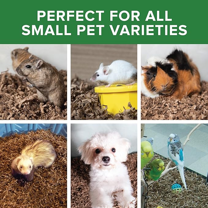 ECO BEDDING 99% Dust Free Paper Bedding for Small Animals, Odor Control, 3 lb (Expands to 60 L)