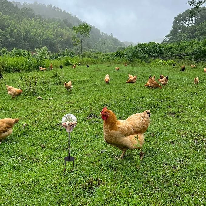 Oooct 2 Pack Chicken Pecking Toys with Swing Feeder, Coop Slow Feeder Toy for Chickens, Chicks, Ducks, Hens, Parrots & Poultry Enrichment