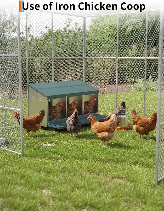 Chicken Nesting Box 3 Hole, Galvanized Steel Nest with Roll Away Egg Collection & Swing Perch, Easy-Clean Laying Box for Hens, Heavy Duty Design for Chicken Coop