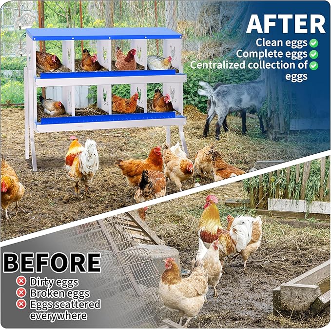 8-Compartment Chicken Nesting Box with Removable Tray - Metal Laying Boxes for Hens - Egg Rollaway Design, Wall Mount Farm Fresh Egg Collector, Hen Roosting Boxes for Chicken Coops