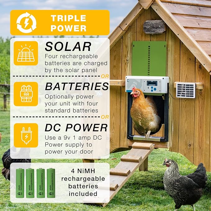 ChickenGuard Automatic Chicken Coop Door Opener, Solar/Battery Powered Poultry Door, Timer/Light Sensor Control, Predator Protection, Anti-Pinch Safety, Winter Mode, Easy Install (Green + Solar Kit)