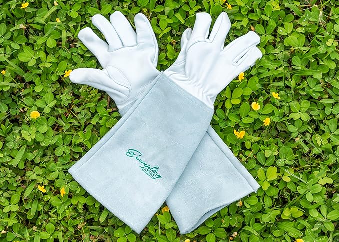 Rose Pruning Gloves for Men and Women - Thorn Proof Goatskin Leather Gardening Gloves with Gauntlet (Medium，Natural)