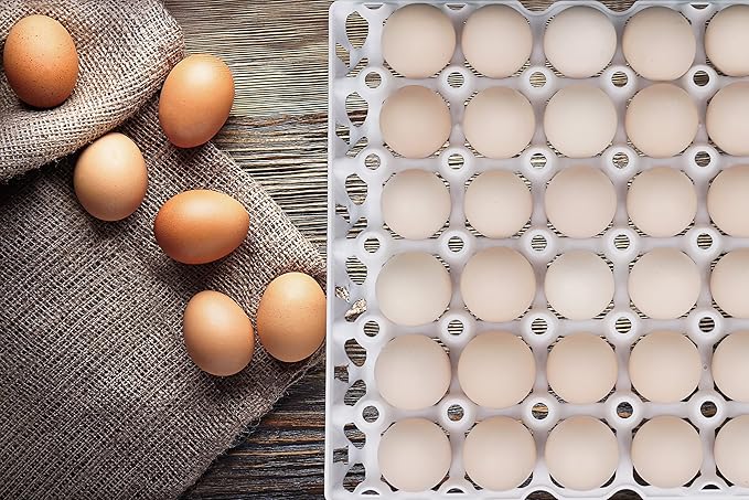 10Pcs Plastic Egg Tray 30-Cell Egg Flats Egg Crates, Stackable Egg Cartons Flats for Egg Packing, Storage, Shipping Fresh Eggs