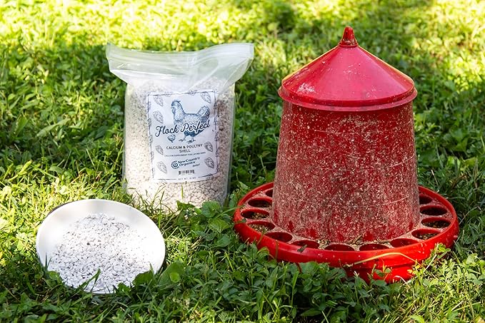 New Country Organics | Flock Perfect Calcium Poultry Shell to Strengthen Egg Shells in Laying Hens | 8 lbs