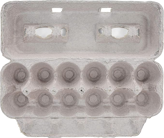 Printed Natural Pulp Egg Cartons Holds Up to Twelve Eggs - 1 Dozen Extra Large - Strong Sturdy Material Perfect For Storing Extra Eggs - by MT Products (15 Cartons) - Made in The USA