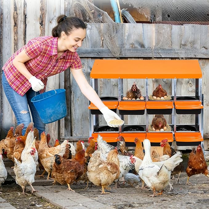 Chicken Nesting Box, 8 Compartment Roll Away Egg Laying Box for Hens, Wall Mounted & Freestanding (2 Modes of Use), Easy Egg Collection, Cleanable Pull Out Nesting Box, Org, WL