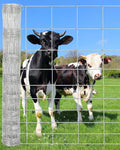 Farm Fence, 4FT x 164FT x 0.59IN White Welded Wire Fence Roll - Zinc Galvanized No-Climb Animal & Poultry Netting for Horses, Sheep, Chickens - Heavy Duty Yard Protection & Garden Grid Fencing