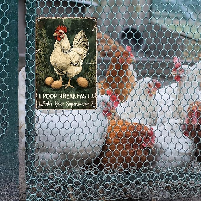 Vintage Chicken Tin Sign I Poop Breakfast Whats Your Superpower Retro Coop Wall Decor Nostalgic Art Funny Rustic Metal Poster Outdoor Store Cafe Poultry House Pubs Farm Farmhouse 12 * 8inch